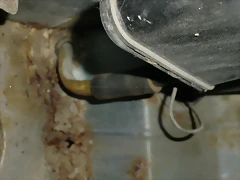 CIMG1415