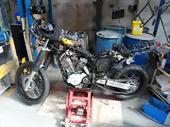 SAM_0081a SAM_0081a