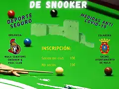 SNOOKER21-1