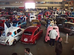 100_0596 100_0596