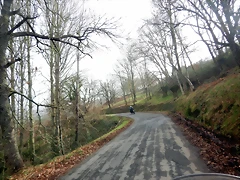 DSCN5356 DSCN5356