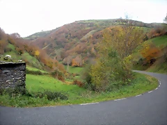 DSCN0587 DSCN0587