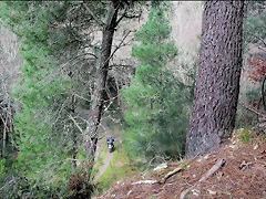 DSCN5408'4 DSCN5408'4