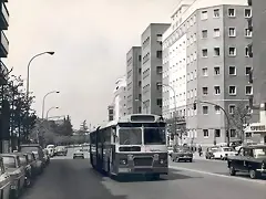 96760102_3381332661886267_7775857265126408192_n