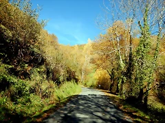 DSCN9140 DSCN9140