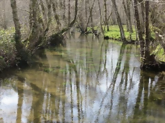 41-IMG_5278 41-IMG_5278