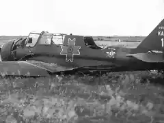 A crashed Romanian PZL 23 Kara&#347; no12