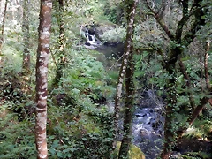 DSCN8448 DSCN8448