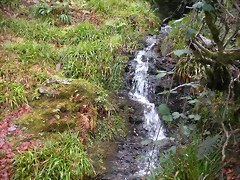 DSCN0778 DSCN0778