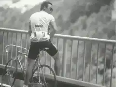 TOUR 1986-HINAULT.