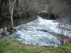DSCN2891 DSCN2891