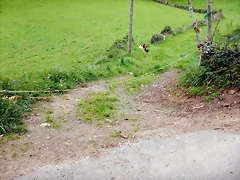 DSCN4074 DSCN4074
