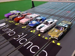 DSCN2313 DSCN2313