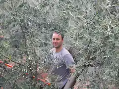 022, en la oliva