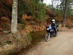 DSCN1906 DSCN1906