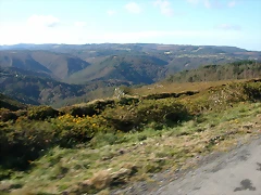 DSCN9145 DSCN9145