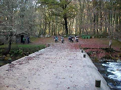 DSCN9157 DSCN9157