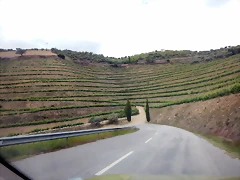 DSCN1835 DSCN1835