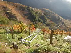 DSCN4462 DSCN4462
