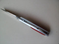 SAM_1924