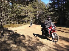 81