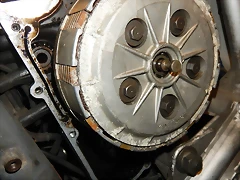 DSCN5732 DSCN5732