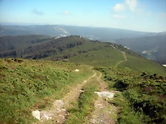 DSCN6839 DSCN6839