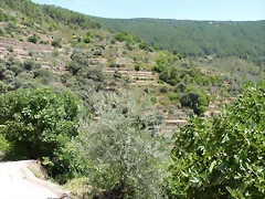 P1070203 P1070203