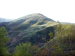 DSCN9078 DSCN9078
