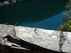 DSCN0147 DSCN0147