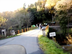 DSCN0008 DSCN0008