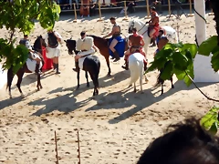 DSCN3912