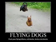 406-flying-dogs-fuck-your-flying-kittens-tanks-and-sharks