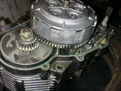 DSCN3551 DSCN3551