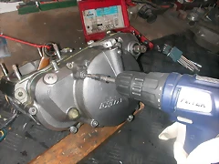 DSCN3533 DSCN3533