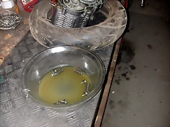 DSCN3550 DSCN3550
