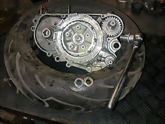 DSCN3560 DSCN3560