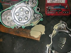 DSCN3536 DSCN3536