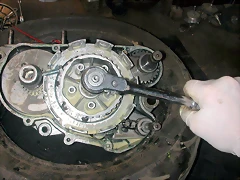 DSCN3559 DSCN3559