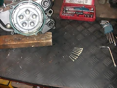 DSCN3535 DSCN3535