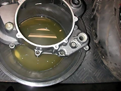 DSCN3546 DSCN3546