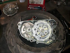 DSCN3555 DSCN3555