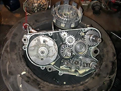 DSCN3561 DSCN3561
