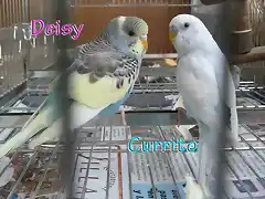 deisy y currito