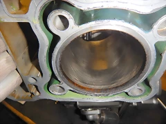 DSCN1445 DSCN1445