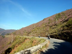 DSCN2745 DSCN2745