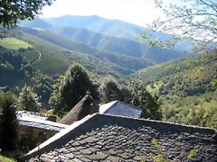 IMG_1064 IMG_1064