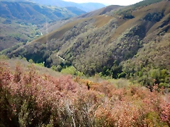 DSCN0110 DSCN0110