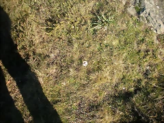 DSCN2258 DSCN2258