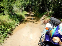 DSCN7681 DSCN7681